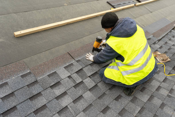 Best Roof Gutter Cleaning  in West Wood, UT