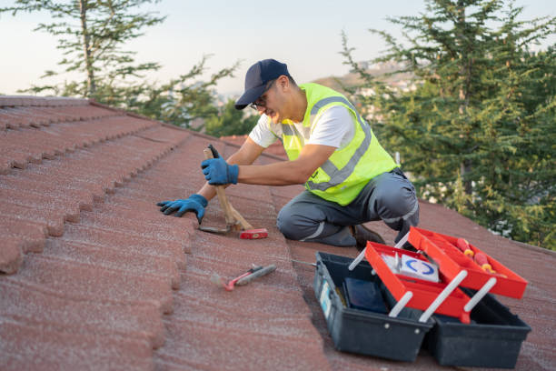 Quick and Trustworthy Emergency Roof Repair Services in West Wood, UT