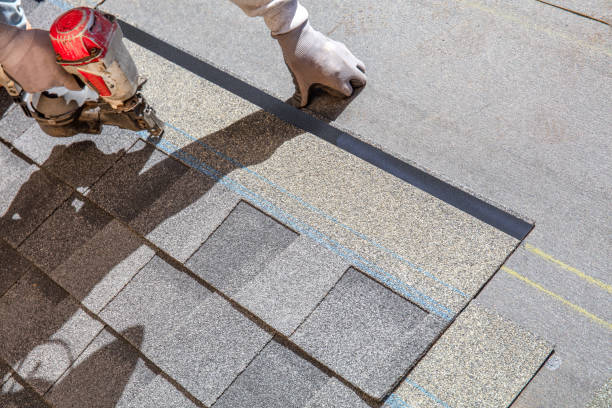 Professional Roofing Contractor in West Wood, UT