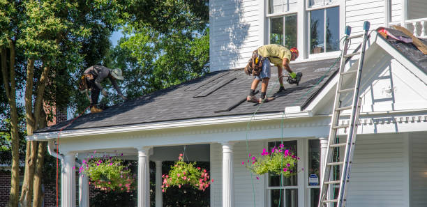 Best Storm Damage Roof Repair  in West Wood, UT