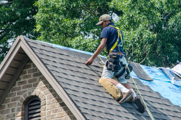 Quick and Trustworthy Emergency Roof Repair Services in West Wood, UT
